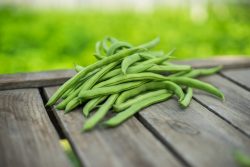 Groene spekbonen