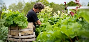 Boer Natuurtuin't Hummelhûs (.)