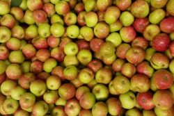 Appels