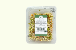 Sproutymix Van Der Plas