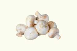 Witte Champignon