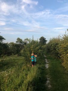 Kinderen In Boomgaard