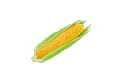 Zoete Aardappel ()
