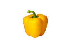 Gele Paprika