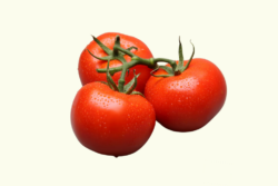 tomaten