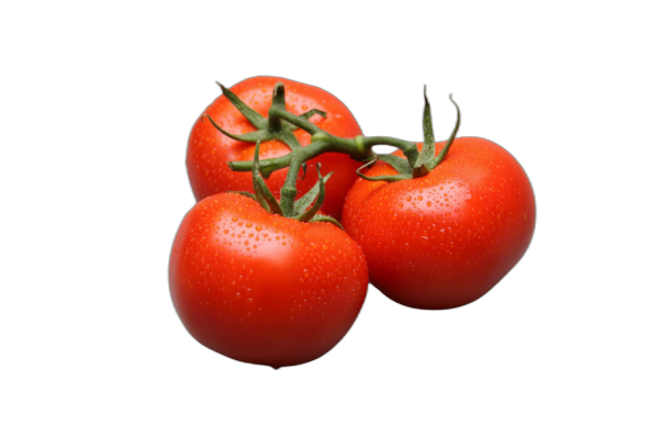 tomaten