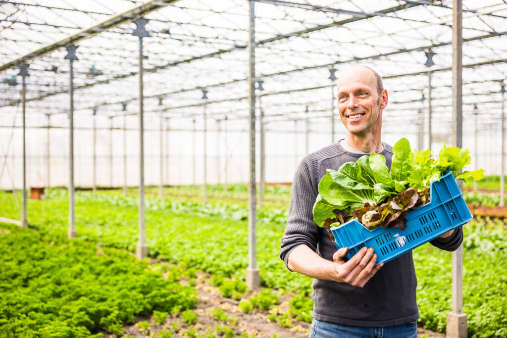 Jochum Streekboer Hoofdpagina