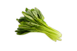 Komat