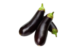 Aubergine