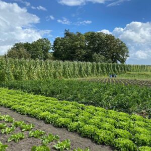 We hebben veel meer boeren en tuinders nodig.