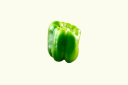 Groene Paprika