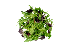 Snijsla