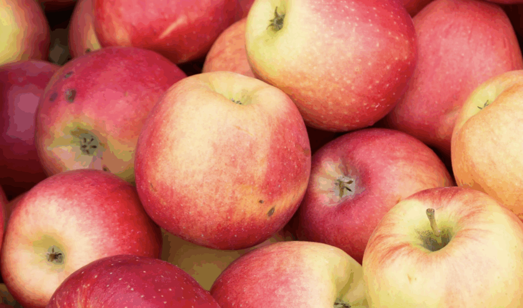 Schermafbeelding Om ..