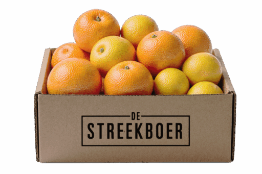 Mix Sinaasappels Mandarijnen